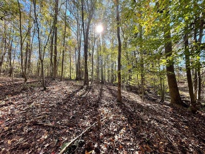 /international/us/14-16-audubon-ware-shoals-sc-110095895720/