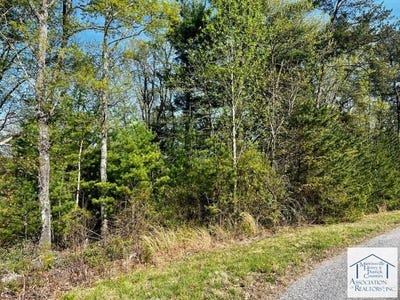 /international/us/pine-knoll-farms-loop-lot-31-stuart-va-110104412917/