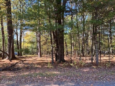 /international/us/hound-road-lot-226-dingmans-ferry-pa-110103504148/