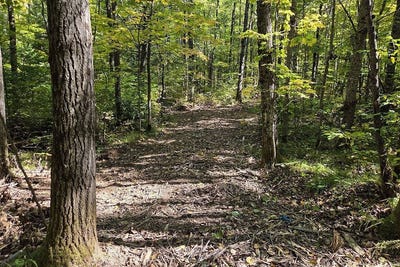 /international/us/9-national-trail-crandon-wi-110120158437/