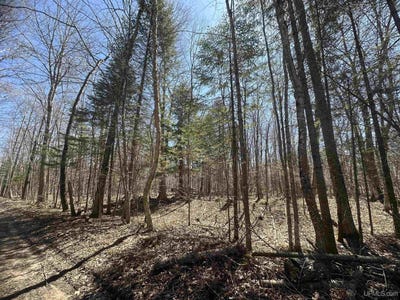 /international/us/tbd-lot-27-1st-st-manistique-mi-110099244946/?lang=zh-tw