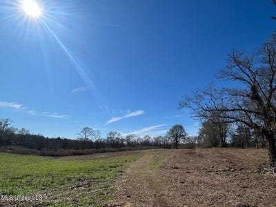 /international/us/biltmore-road-mccomb-ms-110105797573/