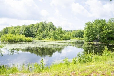 /international/us/57-pinewood-drive-altona-ny-110100422456/