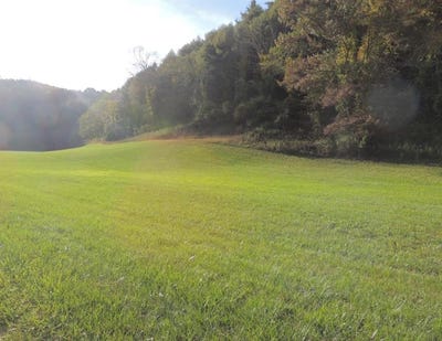 /international/us/gambetta-rd-lot-11-galax-va-110093538450/