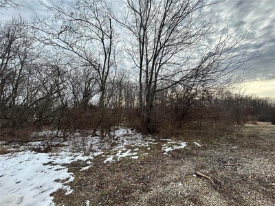 /international/us/19580-hillcrest-dr-carlyle-il-110097019868/