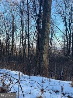 /international/us/1607-summit-dr-haymarket-va-110106239097/