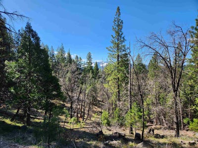 /international/us/2725-meadow-view-lane-spring-garden-ca-110098827404/?lang=zh-tw