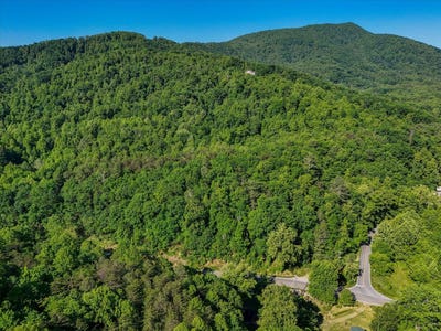 /international/us/7301-merriman-rd-boones-mill-va-110108449192/