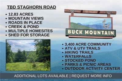 /international/us/staghorn-road-purlear-nc-110105327576/