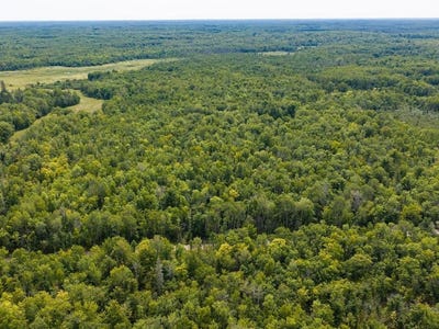 /international/us/150th-mcgrath-mn-110109954730/