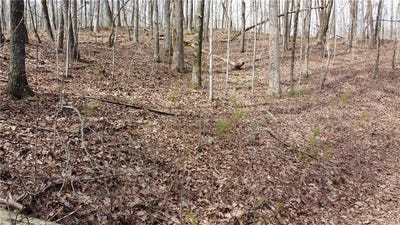 /international/us/1110-mayfield-lane-ne-ranger-ga-110101260406/