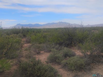/international/us/capitol-dome-rd-se-deming-nm-110108030228/