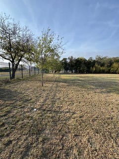 /international/us/pecan-bandera-tx-110107278981/