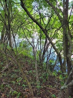 /international/us/lt1-3-road-l-oconomowoc-wi-110092038418/