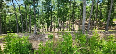 /international/us/lt-106-split-creek-road-morganton-ga-110101298261/?lang=zh-cn