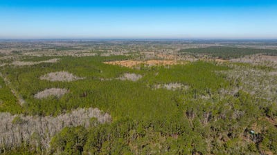 /international/us/0-gum-swamp-rd-greenville-fl-110099440261/