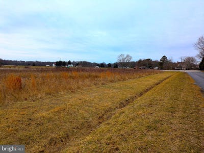 /international/us/neighbors-road-centreville-md-110097139543/?lang=zh-tw