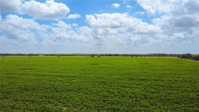 /international/us/wbd-n-hwy-281-alice-tx-110101245078/?lang=zh-cn
