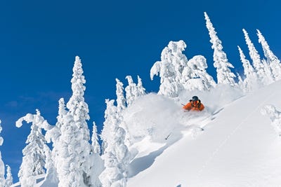 /international/us/3889-big-mountain-road-whitefish-mt-110104910111/