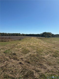 /international/us/nelson-s-bridge-road-hanover-va-110120655015/