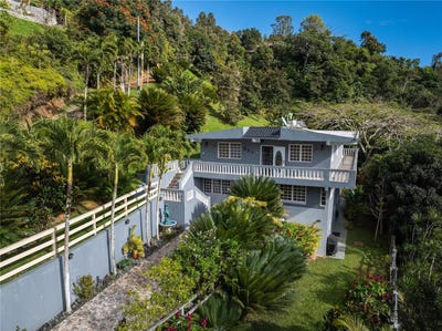 /international/us/carretera-715-kilometro-3-7-cayey-pr-110106566493/
