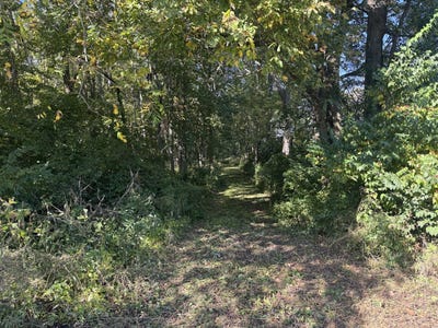 /international/us/21-county-road-500-e-sadorus-il-110120419802/
