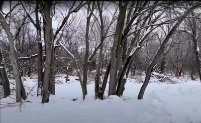 /international/us/vacant-heiden-avenue-crest-hill-il-110103984449/