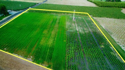 /international/us/nka-e-sunnyside-canal-zillah-wa-110101217027/