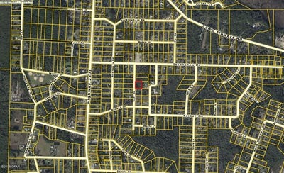/international/us/9106-ruff-drive-youngstown-fl-110032923584/