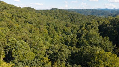 /international/us/32-38-ac-panther-creek-road-sneedville-tn-110120107030/