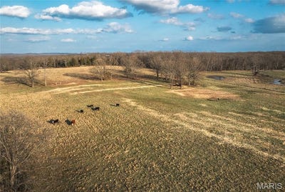 /international/us/72-acres-county-road-8490-newburg-mo-110106317861/