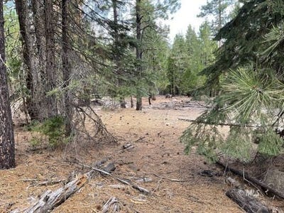 /international/us/n-overland-dr-alturas-ca-110100566142/