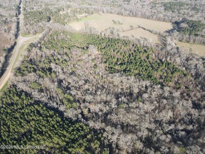 /international/us/mississippi-28-hazlehurst-ms-110107586764/