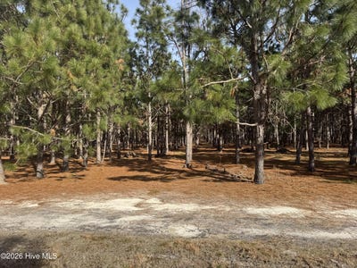 /international/us/butler-mill-road-lot-tract-2-bladenboro-nc-110105928715/