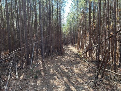 /international/us/county-road-325-hamilton-al-110103027076/