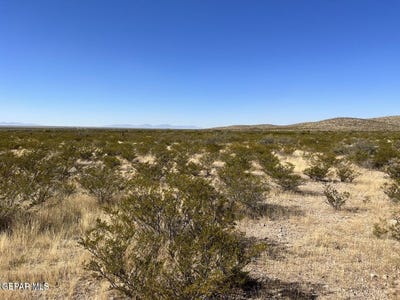 /international/us/indian-wells-4-lot-16-20-00-acala-tx-110105977809/