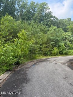 /international/us/lot-14-woodland-creek-drive-dandridge-tn-110100591018/?lang=zh-cn