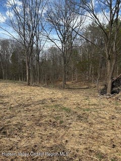 /international/us/high-falls-road-lot-3-catskill-ny-110106985245/