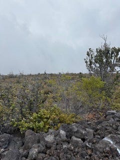 /international/us/92-8527-iwalani-circle-makai-ocean-view-hi-110100591794/?lang=zh-tw
