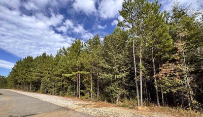 /international/us/highway-7-hot-springs-village-ar-110120424348/