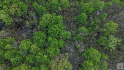 /international/us/fm-195-out-of-area-texas-tx-110107281264/