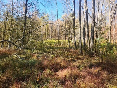 /international/us/2200-overton-road-new-albany-pa-110102803481/