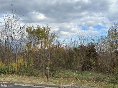 /international/us/independence-drive-luray-va-110088165726/?lang=zh-cn