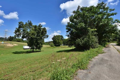/international/us/carlson-drive-lot-44-grafton-wv-110107637426/