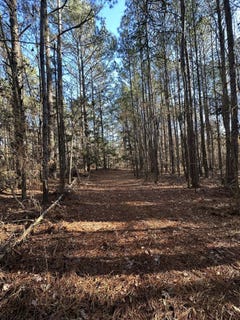 /international/us/lot-4-saggus-road-washington-ga-110100987070/
