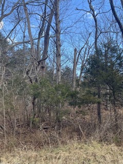 /international/us/walker-creek-rd-middlebrook-va-110104404055/
