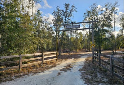 /international/us/tbd-180th-street-live-oak-fl-110105906878/
