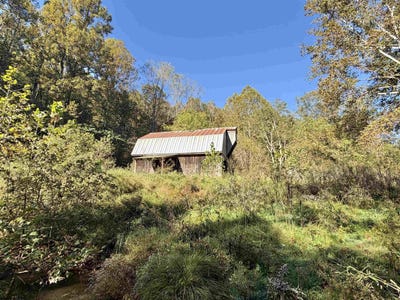 /international/us/317-grove-summers-road-new-milton-wv-110120148005/