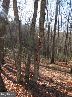 /international/us/12-cedarwood-drive-road-mathias-wv-110101396692/?lang=zh-tw