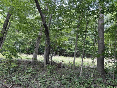 /international/us/east-run-circle-lot-4-four-states-wv-110093714731/